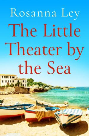 Cover of the book The Little Theatre by the Sea by Anders Roslund, Börge Hellström