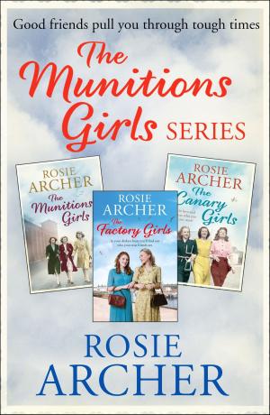 Cover of the book The Munition Girls Series by Angela Slatter