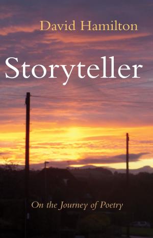 Cover of the book Storyteller by Margo Gorman