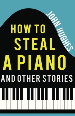 Cover of the book How to Steal a Piano and Other Stories by Ian Vannoey