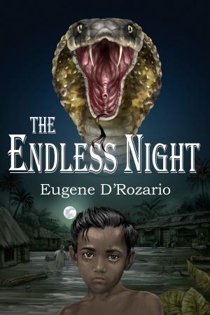 bigCover of the book The Endless Night by 