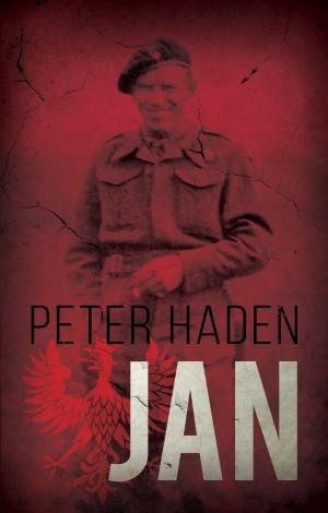 Cover of the book Jan by Robin Duval