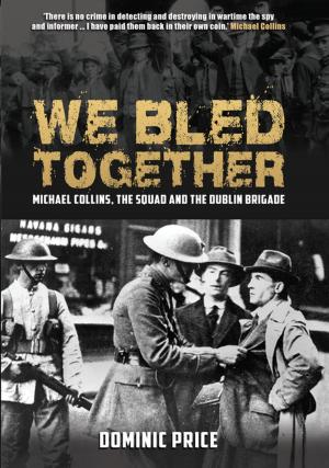 Cover of the book We Bled Together by Professor Kevin C. Kearns, Ph.D.