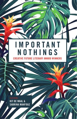 Book cover of Important Nothings