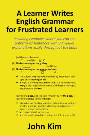 Book cover of A Learner Writes English Grammar for Frustrated Learners