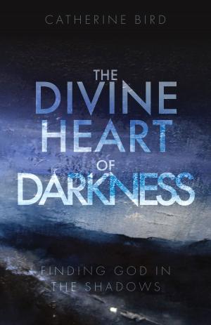Cover of the book The Divine Heart of Darkness by Ian Black