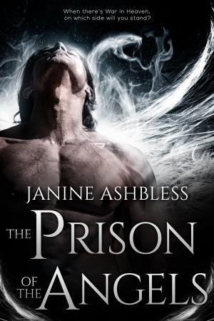 Cover of the book The Prison of the Angels by Janine Ashbless