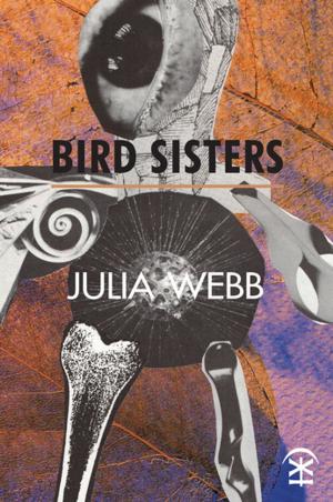 Cover of the book Bird Sisters by Tania Hershman