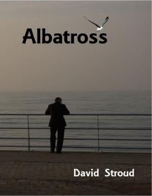 Cover of the book Albatross by Bhupendra Brahmabhatt