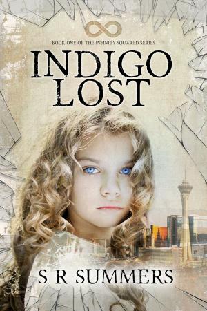 Cover of the book Indigo Lost by TJ Edwards