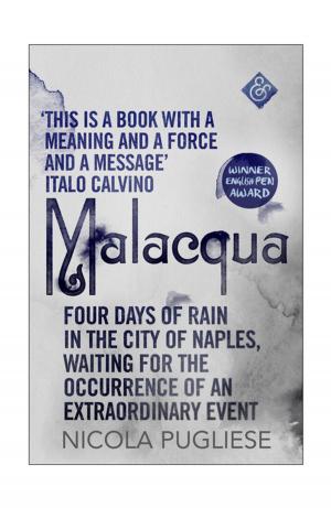 Cover of the book Malacqua by Carlos Gamerro