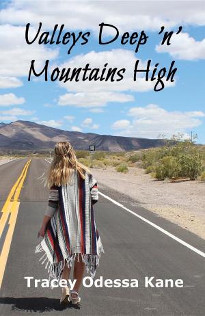 Cover of the book Valleys Deep 'n' Mountains High by Duncan Thompson
