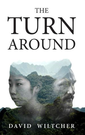 Cover of the book The Turn Around by Neil Robins