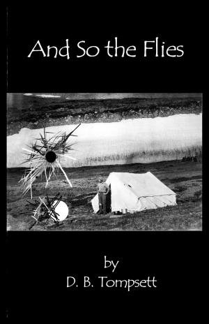 Book cover of And So the Flies
