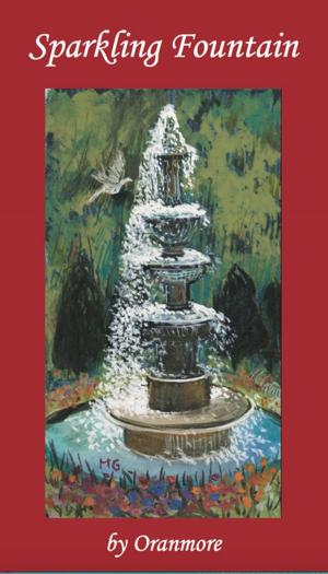 Cover of the book Sparkling Fountain by D. A. Norman