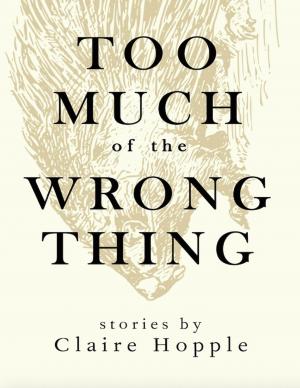 Cover of the book Too Much of the Wrong Thing by Truth Serum Press