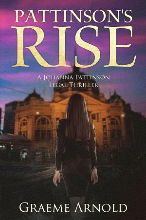 Cover of the book Pattinson’s Rise by Brendan Lloyd