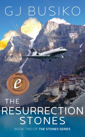 Cover of the book The Resurrection Stones by Dianne Cikusa
