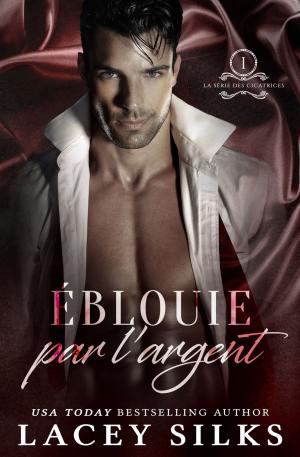 Cover of the book Éblouie par l'Argent by Lacey Silks