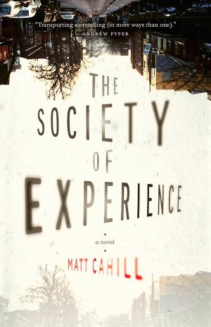 Book cover of The Society of Experience