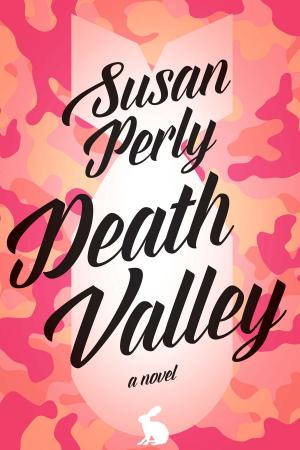 Cover of the book Death Valley by Martin Herbertson