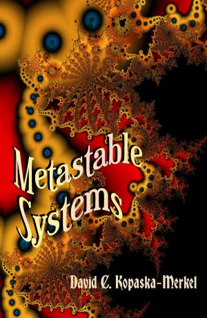 Cover of the book Metastable Systems by Vasily Sukhomlinsky