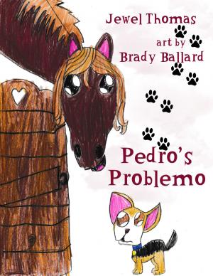 Cover of the book Pedro's Problemo by Jewel Thomas, T.A. Bouk
