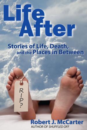 Cover of the book Life After by Oscar A McCarthy