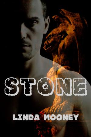 Cover of the book Stone by Jillian David