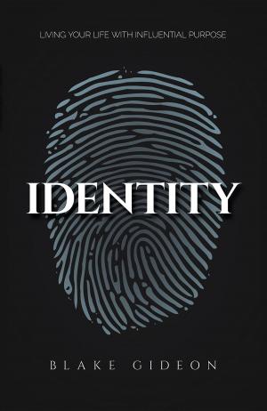 Cover of the book Identity by Peter Enseleit