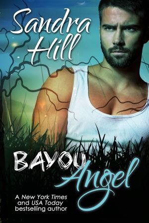 Book cover of Bayou Angel