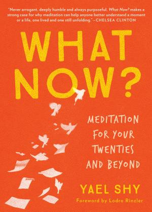 Cover of the book What Now? by His Holiness The Dalai Lama