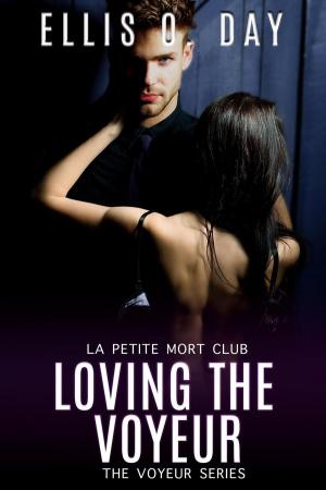 Book cover of Loving the Voyeur