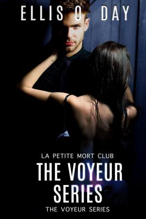 Book cover of The Voyeur Series Books 1 - 4