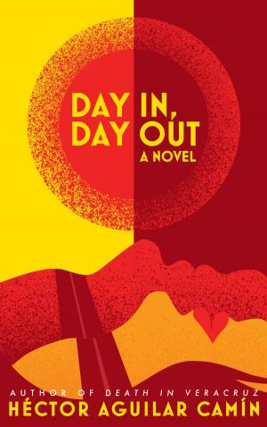Cover of the book Day In, Day Out by Yehuda Nir