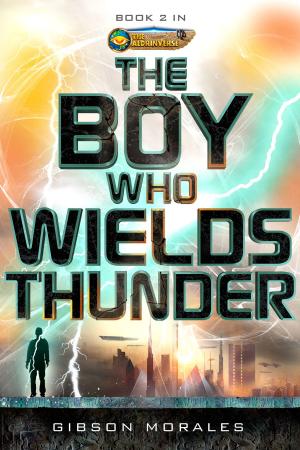 Book cover of The Boy Who Wields Thunder