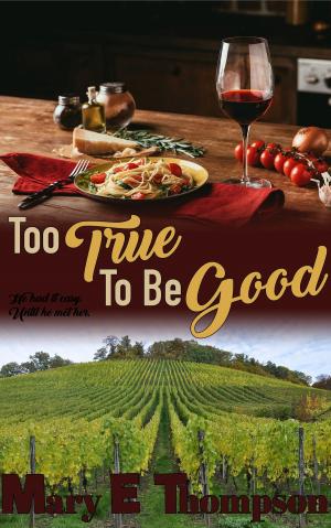 Cover of the book Too True To Be Good by Kristi Avalon