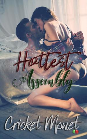 Cover of the book Hottest Assembly by Luke Braun