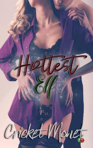 bigCover of the book Hottest Elf by 