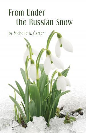 Cover of the book From Under the Russian Snow by Laurie Salzler
