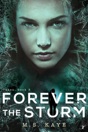 Cover of the book Forever the Storm by Lucinda Stein