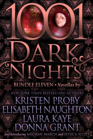 Cover of the book 1001 Dark Nights: Bundle Eleven by Elisabeth Naughton
