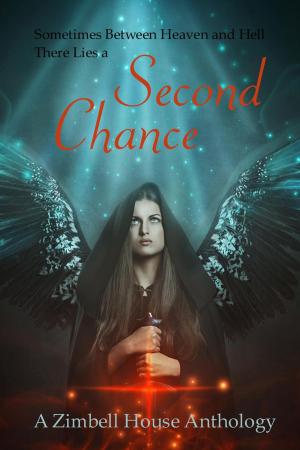 Cover of the book Second Chance by Zimbell House Publishing, Ben Fine, Cameron Vanderwerf, Garth Pettersen, Gary Ives, Lucy Ann Fiorini, Randi Samuelson-Brown, Sharon Frame Gay, Terry Sanville, E. W. Farnsworth