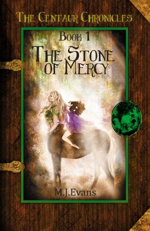 Cover of the book The Stone of Mercy by Fumi Yamamoto, Nitaka, Charis Messier