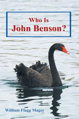 bigCover of the book Who Is John Benson? by 