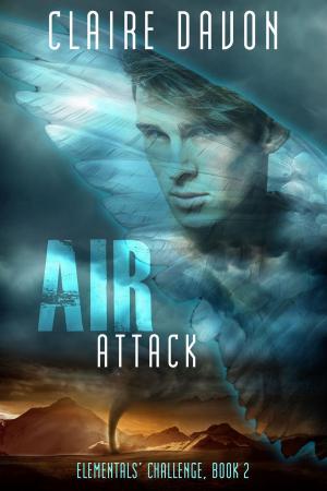 Cover of the book Air Attack by Kelly S. Bishop