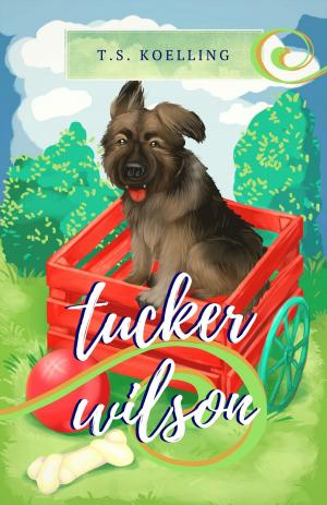 Cover of the book Tucker Wilson by Evan Johnson