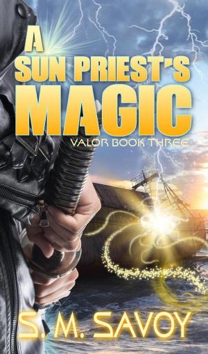 Cover of the book A Sun Priest's Magic by Naomi Kramer
