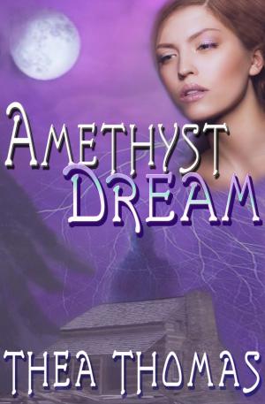 Cover of the book Amethyst Dream by Norah Wilson, Heather Doherty