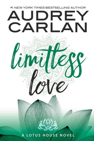 Book cover of Limitless Love